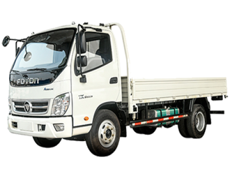 CAMION AUMARKS / 20-22